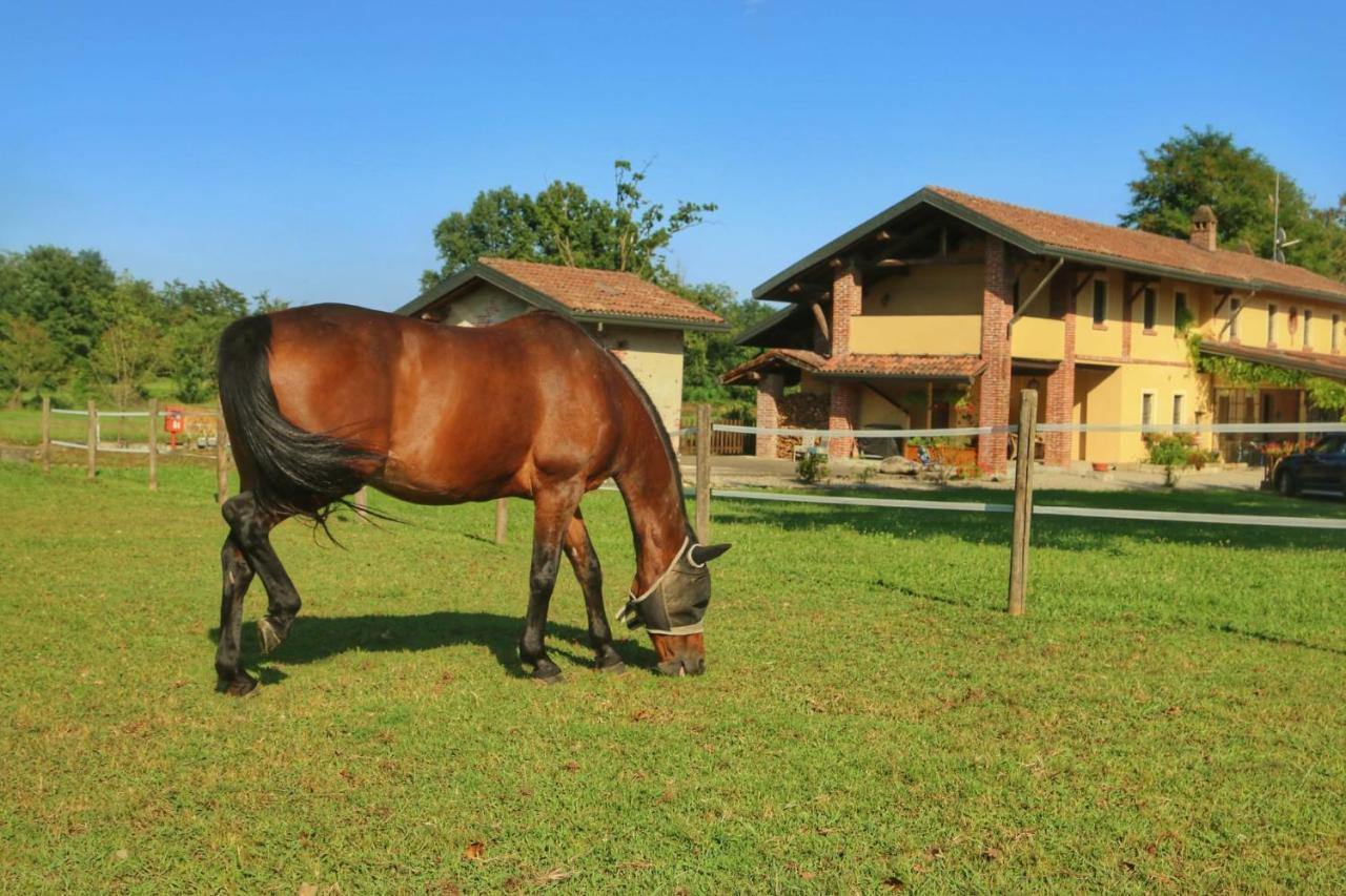 Agriturismo Helianthus Oleggio Eksteriør billede