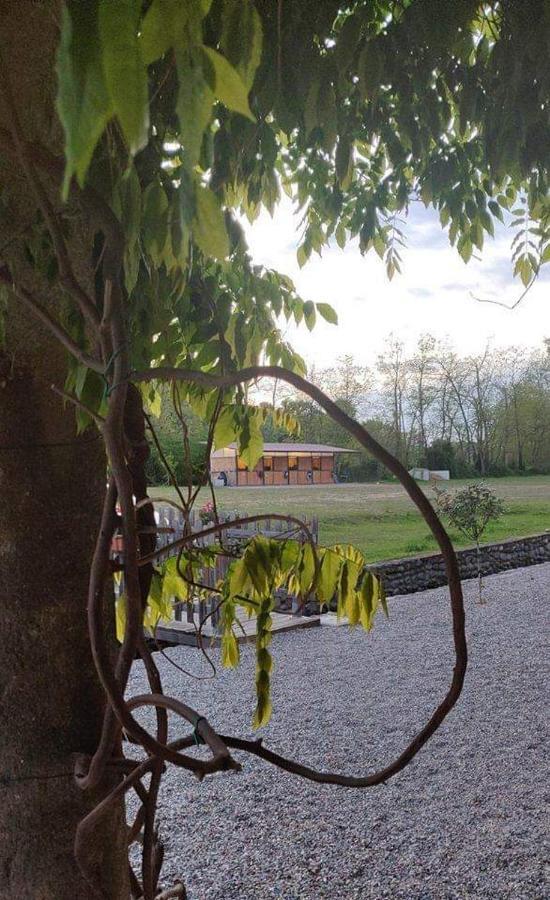 Agriturismo Helianthus Oleggio Eksteriør billede