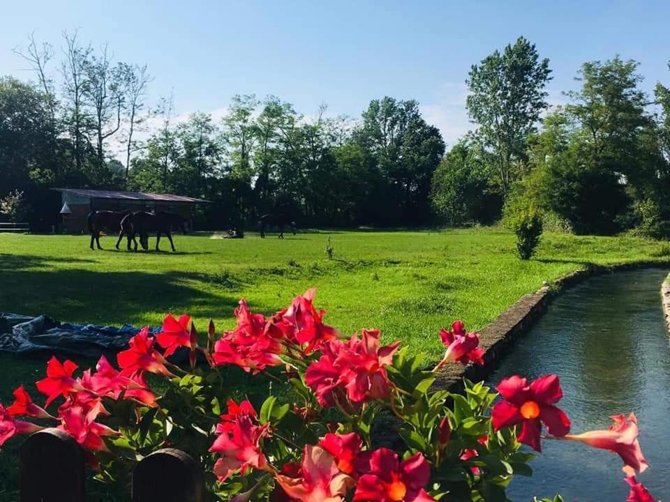 Agriturismo Helianthus Oleggio Eksteriør billede
