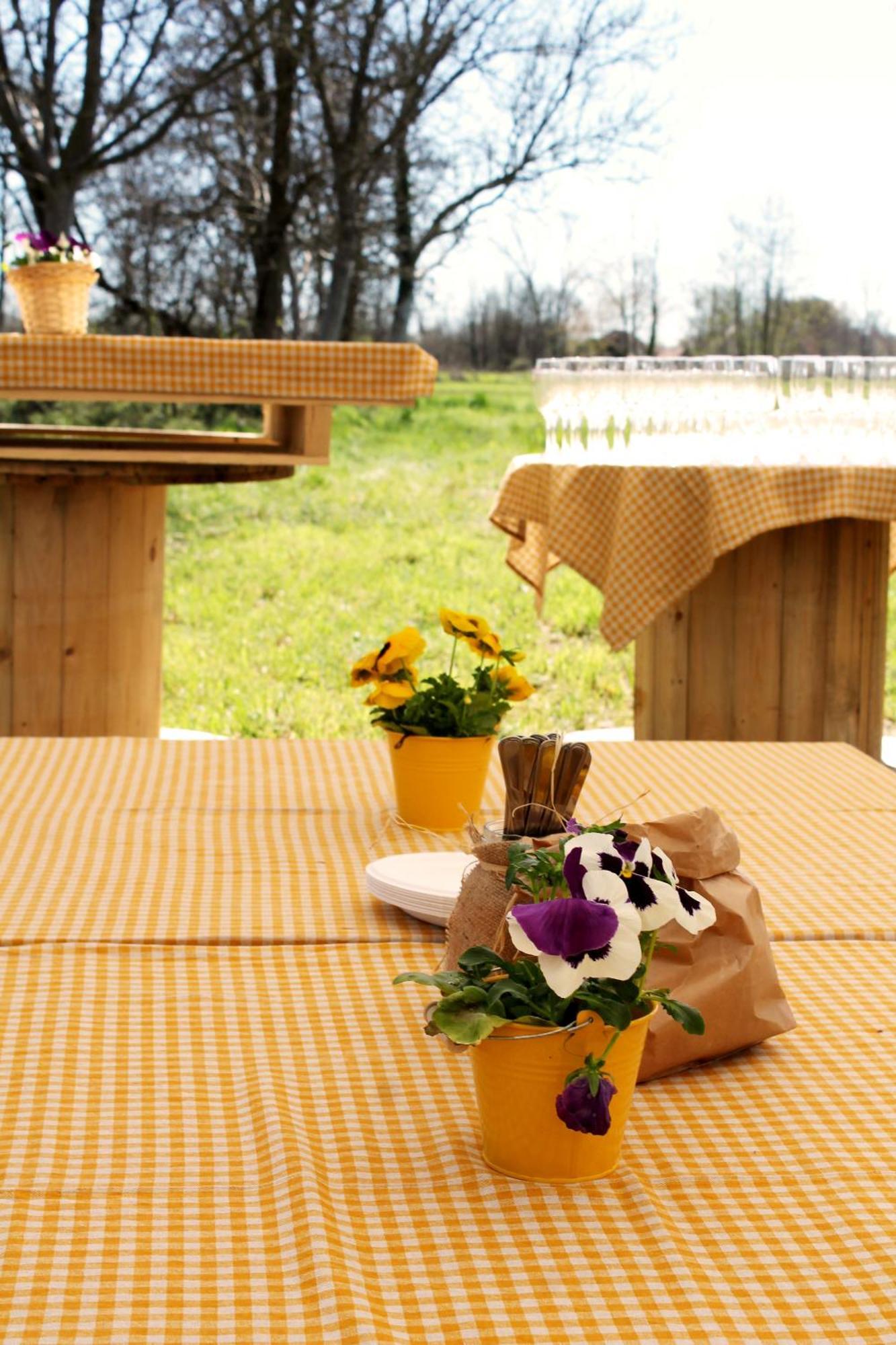 Agriturismo Helianthus Oleggio Eksteriør billede