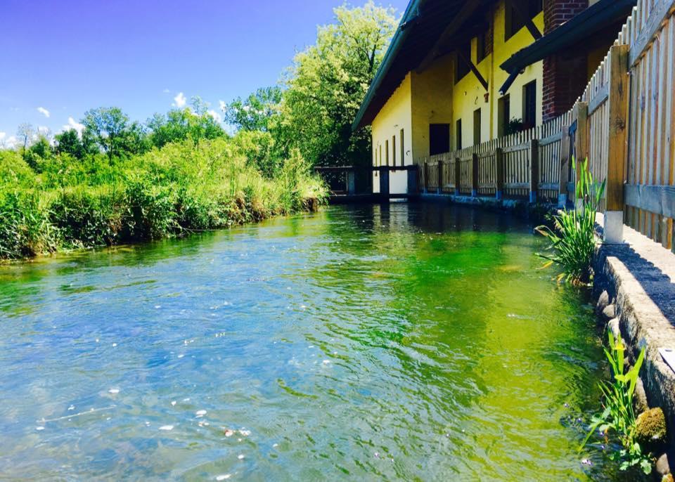 Agriturismo Helianthus Oleggio Eksteriør billede