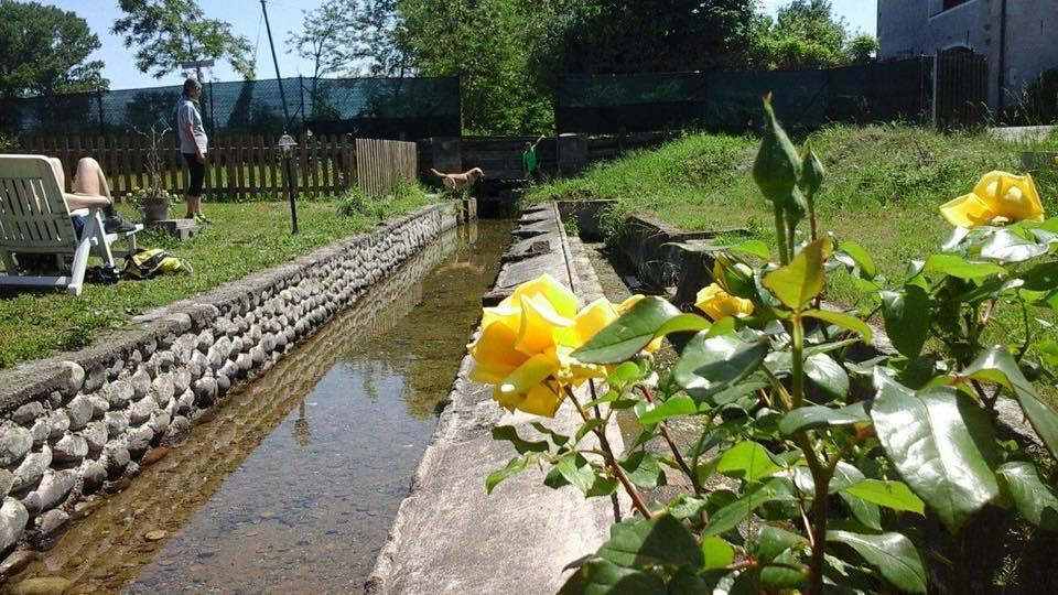 Agriturismo Helianthus Oleggio Eksteriør billede