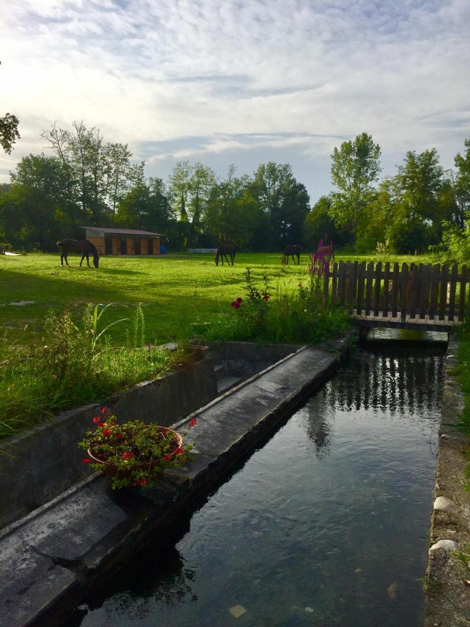 Agriturismo Helianthus Oleggio Eksteriør billede